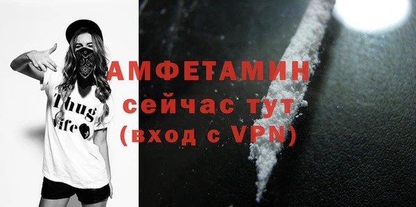 гидра Липки