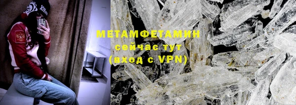 гидра Липки