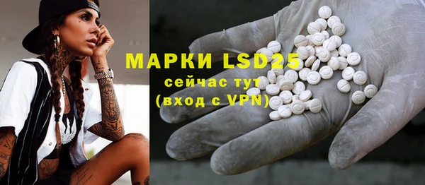 гидра Липки