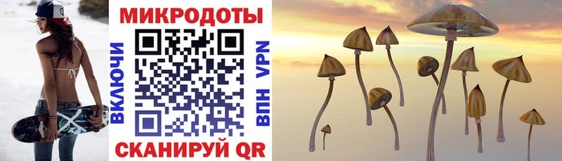 Галлюциногенные грибы Psilocybine cubensis  blacksprut как зайти  Среднеколымск  где можно купить наркотик 